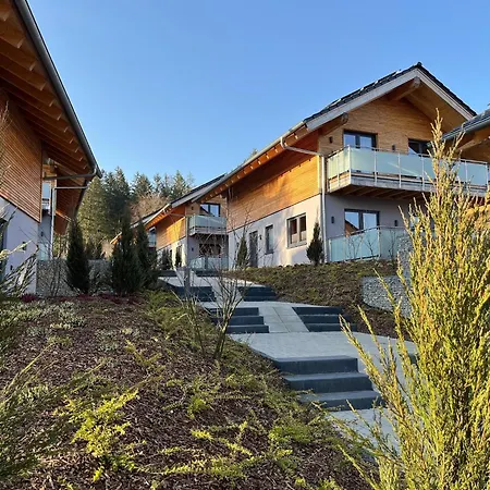 Vakantiehuis Modernes In Hahnenklee Goslar